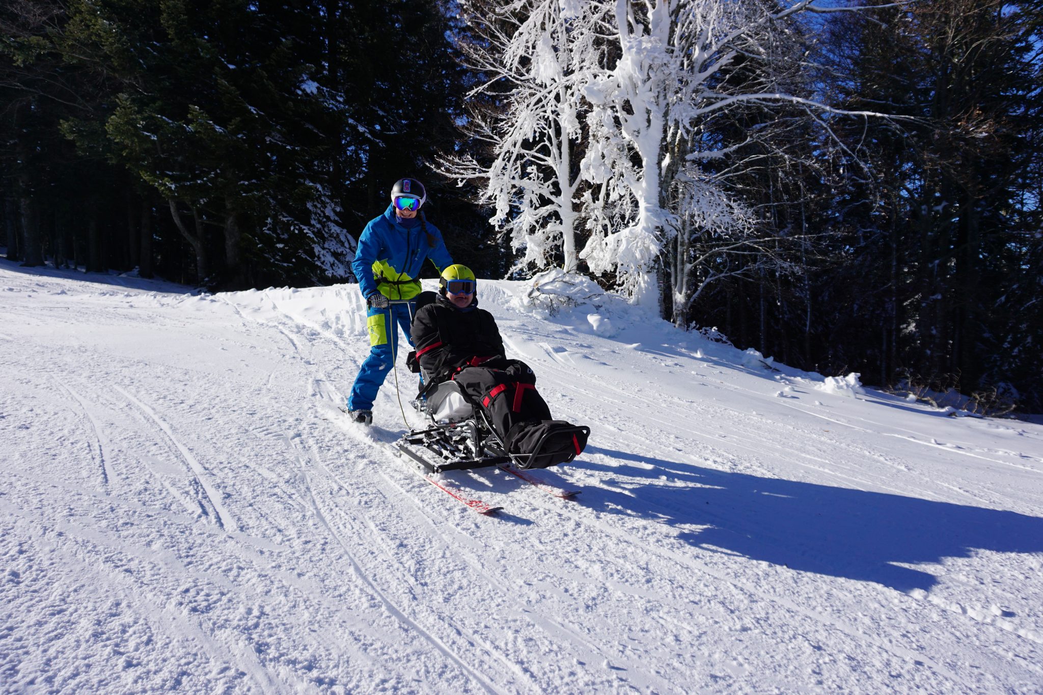 1 tandem ski