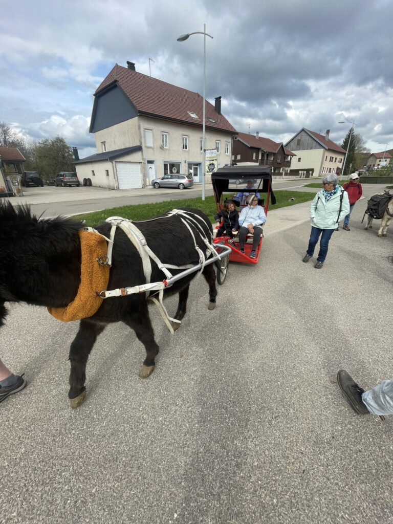 IMG 1722
